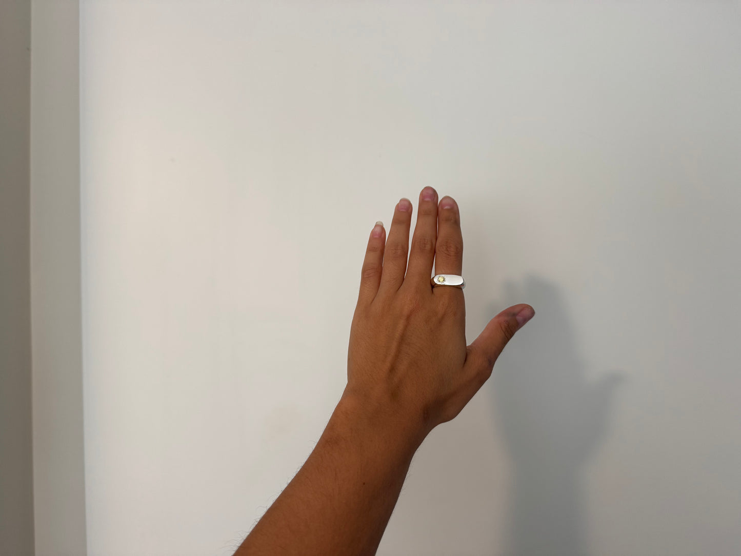 signet rings !