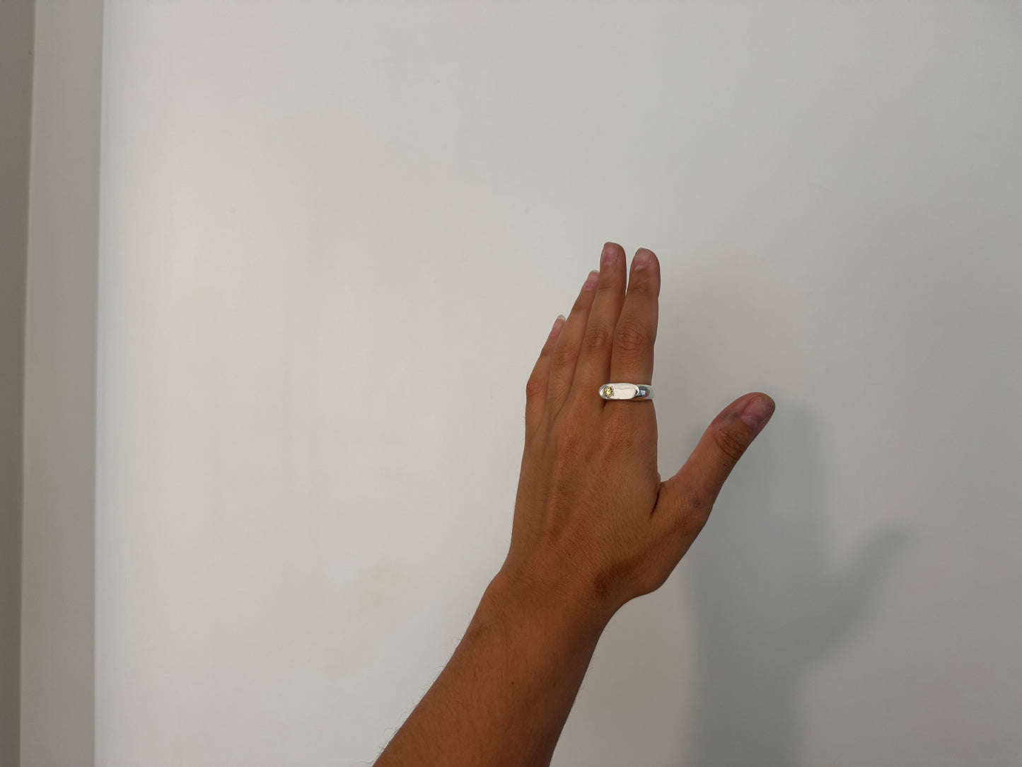 signet rings !