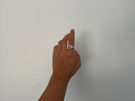 o ring
